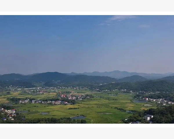 巧囊艾灸多久可以好?中医理论告诉你!